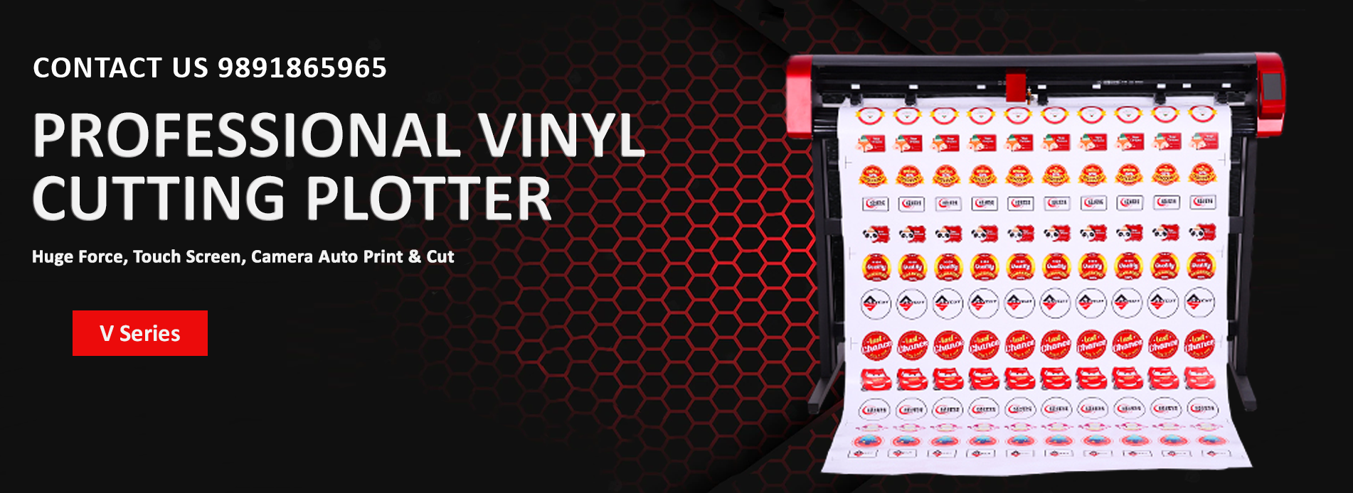 Professional Vinyl